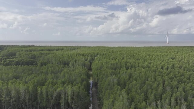 Aerial drone view of Mui Ca Mau National Park in Dat Mui, Ca Mau, Vietnam, featuring the national flagpole and coordinate marker surrounded by sunlit mangrove forests.