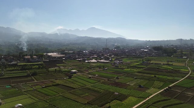 Aerial drone footage of rural village and green vegetable farmland with Mount Panderman background in Pujon, Malang