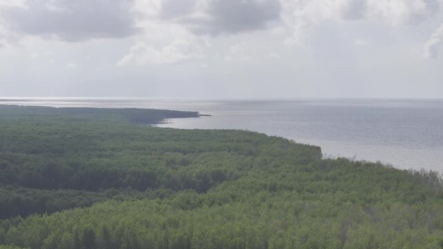 Aerial drone view of Mui Ca Mau National Park in Dat Mui, Ca Mau, Vietnam, featuring the national flagpole and coordinate marker surrounded by sunlit mangrove forests.