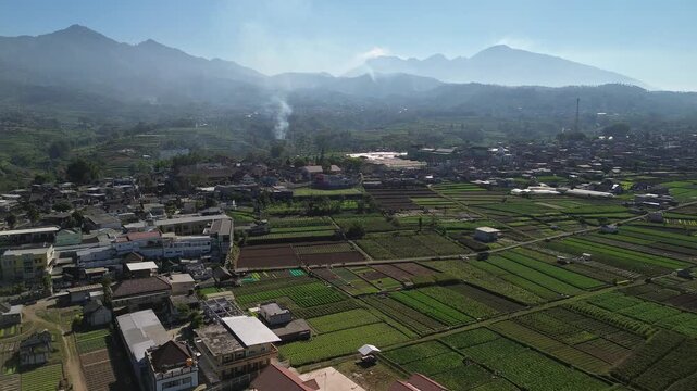 Aerial drone footage of rural village and green vegetable farmland with Mount Panderman background in Pujon, Malang
