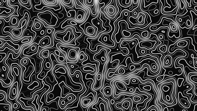 Architectural Topographic Survey Map Line Art Graphic