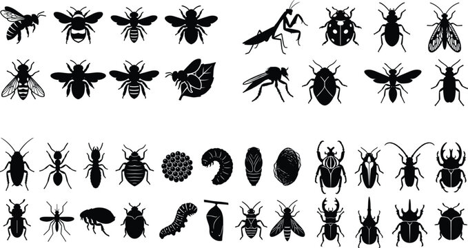 Comprehensive insect and bug black silhouette set featuring bees beetles ants and pest control icons