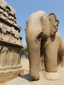 Ancient monolithic stone elephant sculpture at Pancha Rathas monument complex in Mahabalipuram, Tamil Nadu, India.
