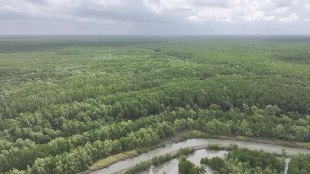 Aerial drone view of Mui Ca Mau National Park in Dat Mui, Ca Mau, Vietnam, featuring the national flagpole and coordinate marker surrounded by sunlit mangrove forests.