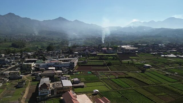 Aerial drone footage of rural village and green vegetable farmland with Mount Panderman background in Pujon, Malang