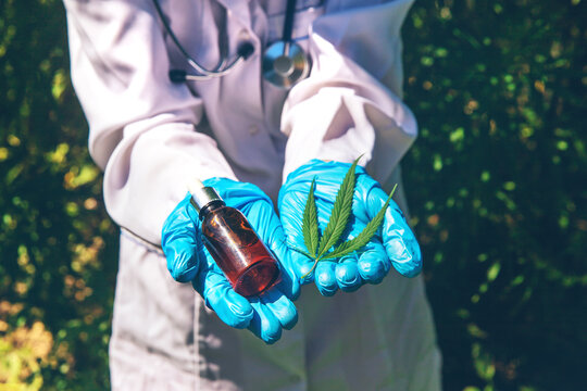 Cannabis growing, medical check. Selective focus.