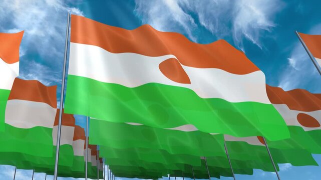 Multiple Niger flags seamless looping waving on blue sky