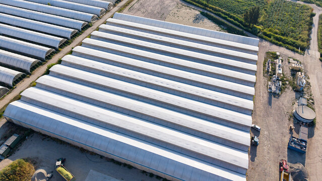 Aerial view of a modern greenhouse farm with rows of white arched structures, agricultural infrastructure, and surrounding fields in San Giuliano Milanese, Lombardy, Italy.