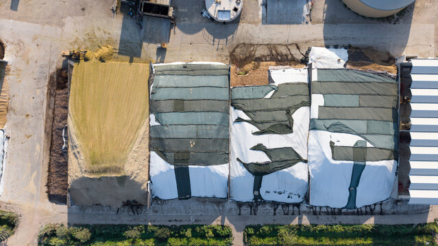 Aerial view of silage storage piles covered with protective tarps at a cattle farm in San Giuliano Milanese, Lombardy, Italy.