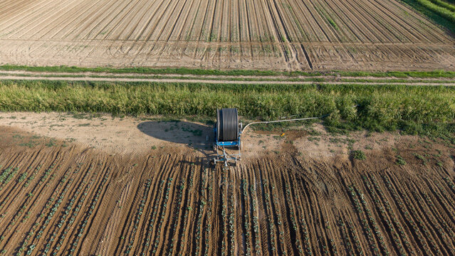 Aerial view of a hose-reel irrigation machine in a cultivated field with rows of crops and green vegetation in Mediglia, Lombardy, Italy.