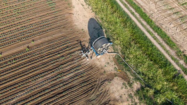Aerial view of a hose-reel irrigation machine positioned in a cultivated agricultural field with rows of crops and a dirt path in Mediglia, Lombardy, Italy.