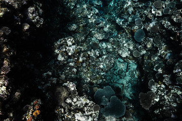 Aerial view of a tropical coral reef and underwater ravine © Satoshi