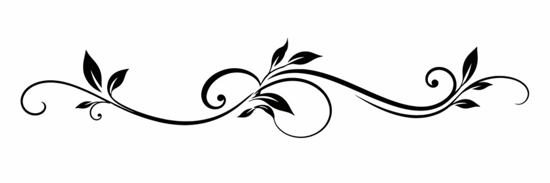 Minimal Black Calligraphic Vine Flourish with Curved Leaves and Elegant Decorative Swirls