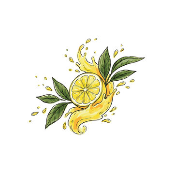Lemon slice with leaves and splash vibrant watercolor vector illustration