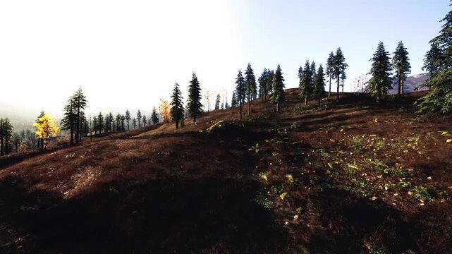 Early morning sunlight bathes a peaceful landscape filled with trees on gentle hills. The scene showcases a blend of natures tranquility and vibrant greenery.