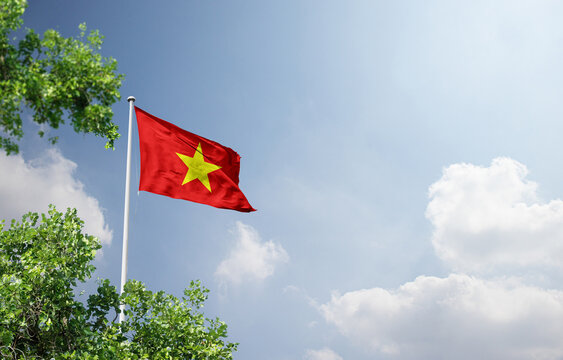 Vietnam national flag waving in the sky behind the tree. The flag waving in the sky. Vietnam national flag for independence day.