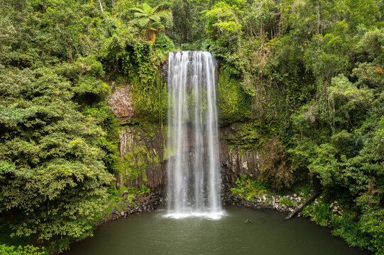 Aerial view of Millaa Millaa Falls cascading into a dark pool surrounded by lush tropical rainforest and dense foliage in Atherton Tablelands, Queensland, Australia.
