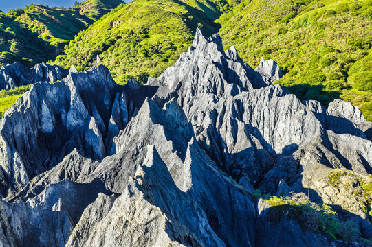 Unique black stone forest formations standing dramatically against green mountain slopes in Sichuan, China.
