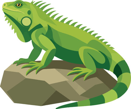 iguana sun-basking on a rock, side profile facing left, full body, tropical reptile, vector illustration