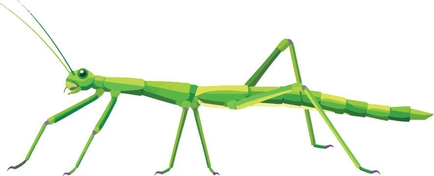 stick insect side profile, full body, insect, decorative vector illustration