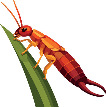 Earwig clinging to blade, side profile facing left, full body, insect decorative vector illustration
