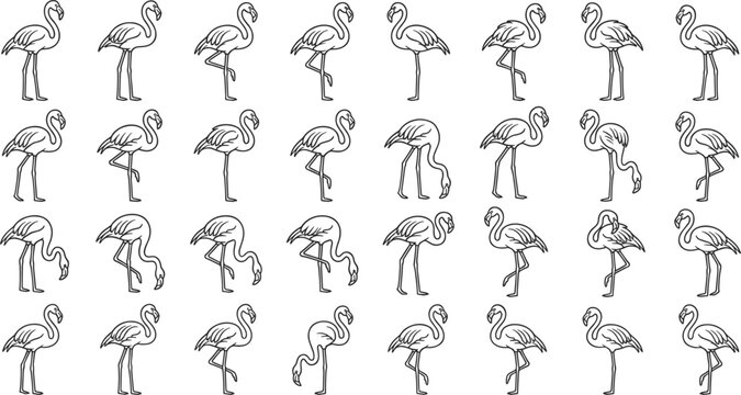 Flamingo bird vector line art icon collection featuring black outlines of tropical wading birds in various standing poses