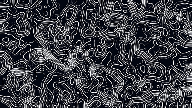Abstract Geographic Relief Terrain Map Graphic in 4K