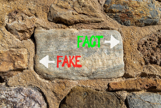 Fact or fake words symbol. Concept words Fake and Fact on beautiful grey stone. Beautiful grey stone wall background. Business and fact or fake concept. Copy space.