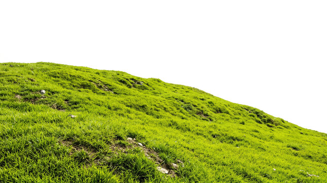 Green grassy hill slope with natural textures isolated for landscape design on transparent background