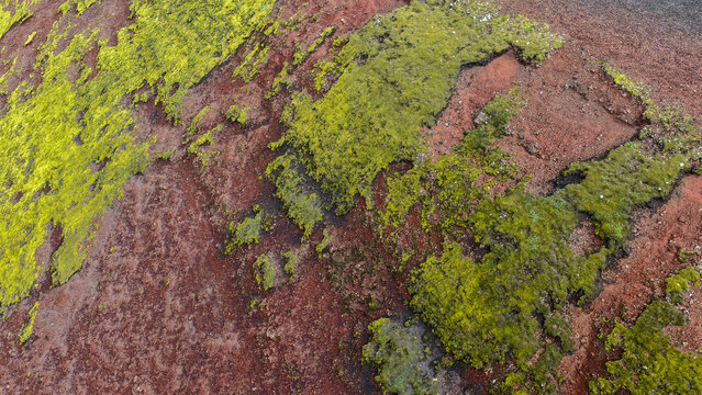 Aerial view of the volcanic landscape of Raudaskal crater, featuring vibrant green moss contrasting with deep red volcanic soil Hella, Rangarthing ytra, Iceland.