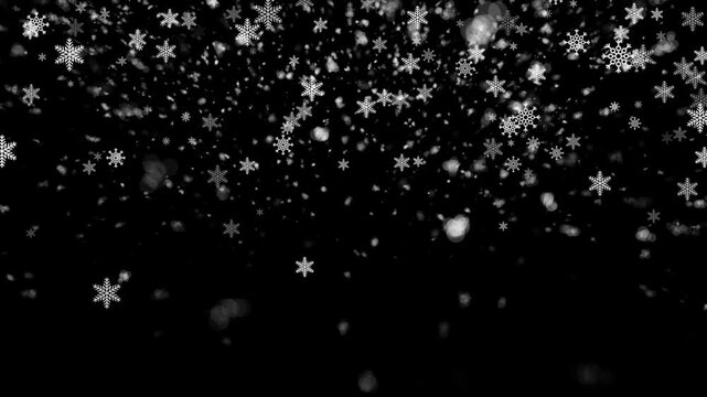 Realistic snowflakes falling animation on a black screen background, perfect for winter themes, Christmas videos, festive intros, overlays, and background effects. Winter Snowfall Overlay.