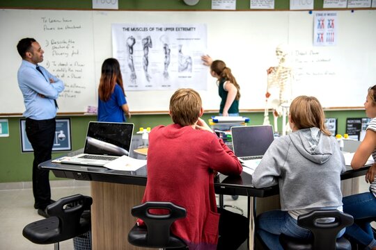 Interactive biology class with students.