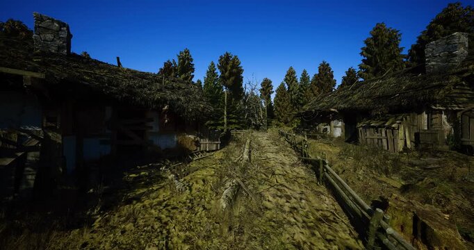 Sunlit cottage behind weathered fence with long grasses and scattered wildflowers, blue sky contrasts with aged timber and mossy shingles, evokes quiet summer
