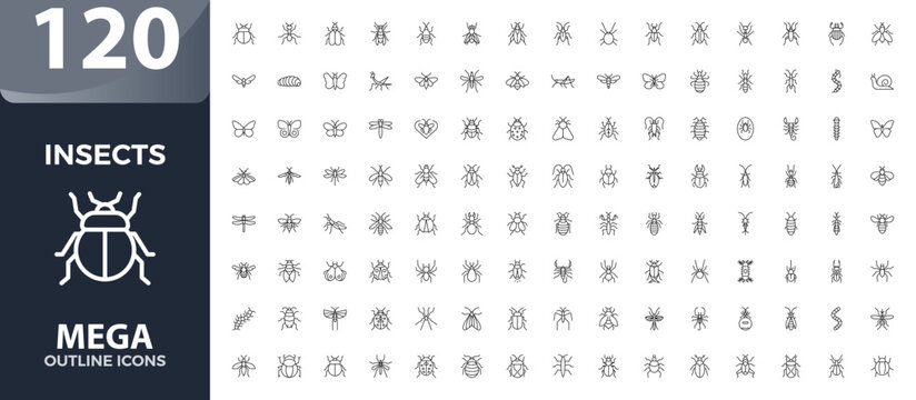 Insect Outline Icons Set with Ant, Mosquito, Butterfly, Spider, Bee, Beetle, Dragonfly, Pest Control, Wildlife, Biology, Nature, Zoology and Educational Vector Collection.