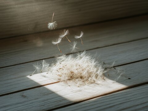 White dandelion seeds on a light-colored wooden surface with individual seeds floating in a bright sunbeam, showing fine textures and visible dust motes in a warm interior.