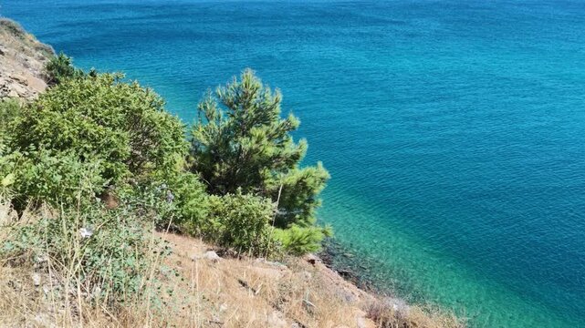 Beautiful view of Aydincik beach in Mersin, Turkey. Turquoise sea water with green pine trees on coast. Peaceful Mediterranean nature scenery.