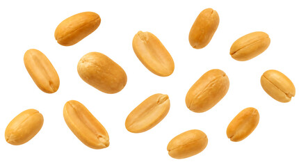 Obraz premium Flying roasted peanuts isolated on transparent background