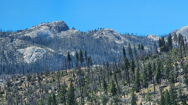 mount rainier national park california