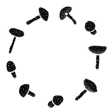 Fly Agaric Mushroom Round Frame Monochrome Hand Drawn Illustration