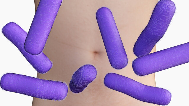 A 3d rod-shaped purple Shigella bacteria in front of a human abdomen. A representation of gut infections, bacterial dysentery, and gastrointestinal illness.