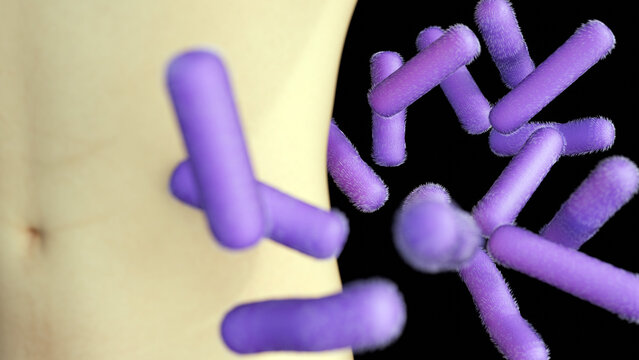 A 3d rod-shaped purple Shigella bacteria in front of a human abdomen. A representation of gut infections, bacterial dysentery, and gastrointestinal illness.