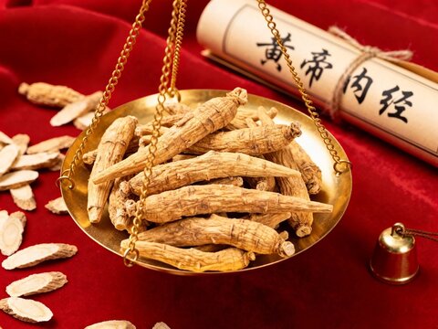 Traditional Chinese Medicine Astragalus Root Slices on Scale