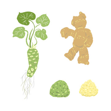 Fresh Wasabi and Ginger Roots with Leaves and Grated Paste