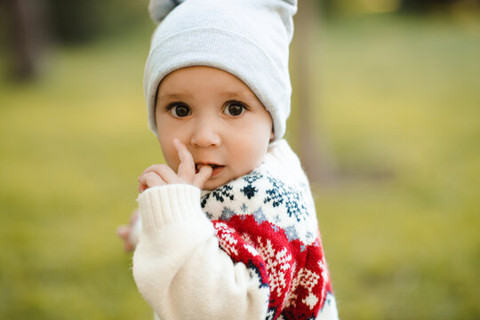 Kid boy 1 year old wearing knitted xmas sweater and hat walking in autumn park. Childhood. Looking at camera