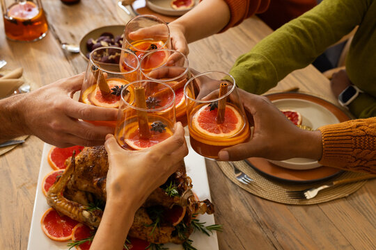 Diverse five adults clinking stemless glasses with citrus, cinnamon over roasted bird at wood table
