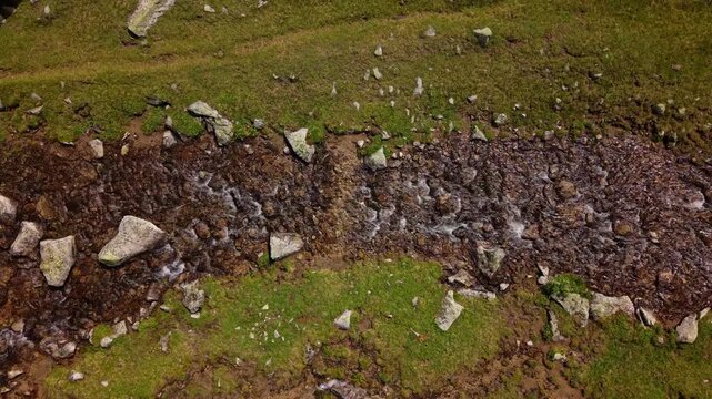 Natural stream flowing over rocky bed in meadow