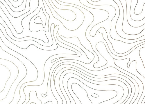 Minimalist monochrome topographic map with layered contour lines topography