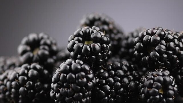 Blackberry closeup, blackberries background. Fresh Ripe organic black berries rotating over gray backdrop, close-up. Macro shot. Market. Eco bio Vegan food 