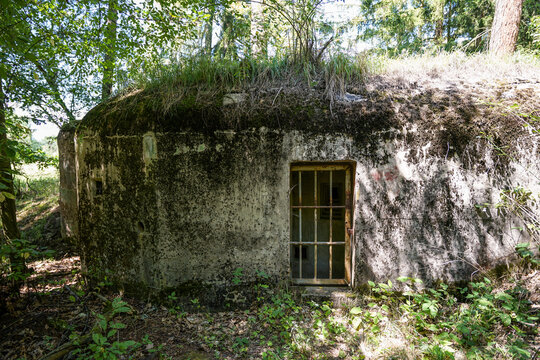 Old world war concrete bunker hidden in forest