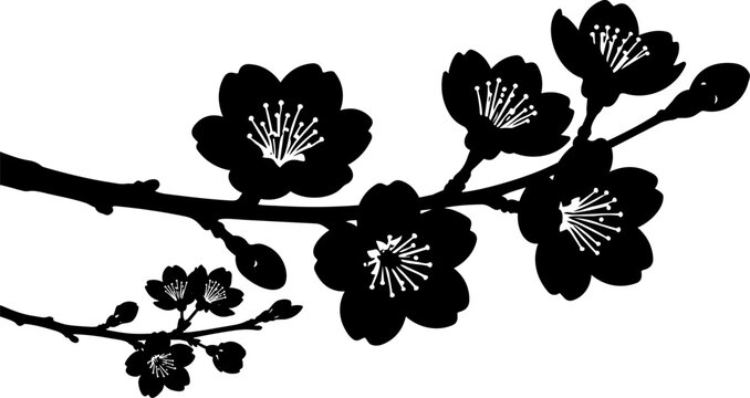 Cherry blossom silhouette branch, black sakura flower vector, minimalist floral botanical illustration for spring wedding decor